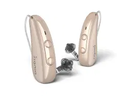 hearing-aid